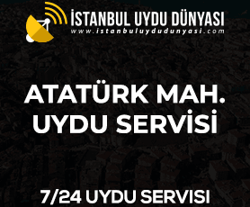 ataturkmahallesi-uydu-servisi