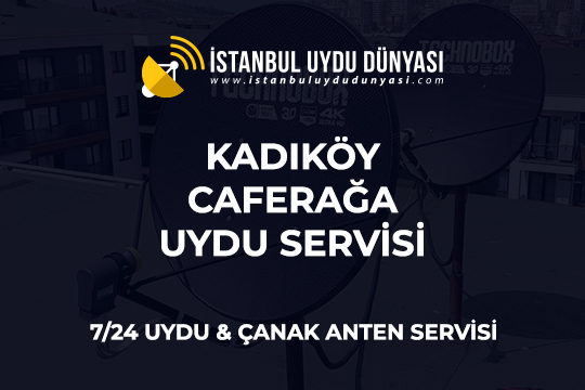 caferaga-uydu-servisi