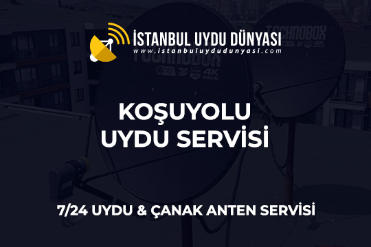 kosuyolu-uydu-servisi