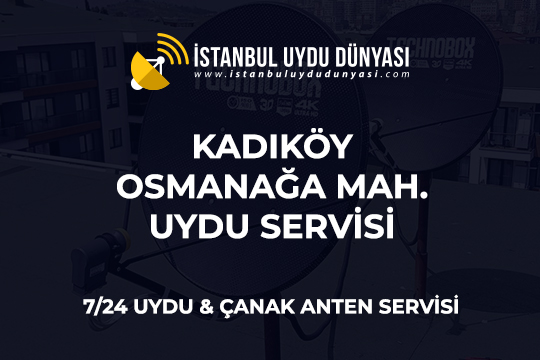 osmanaga-uydu-servisi